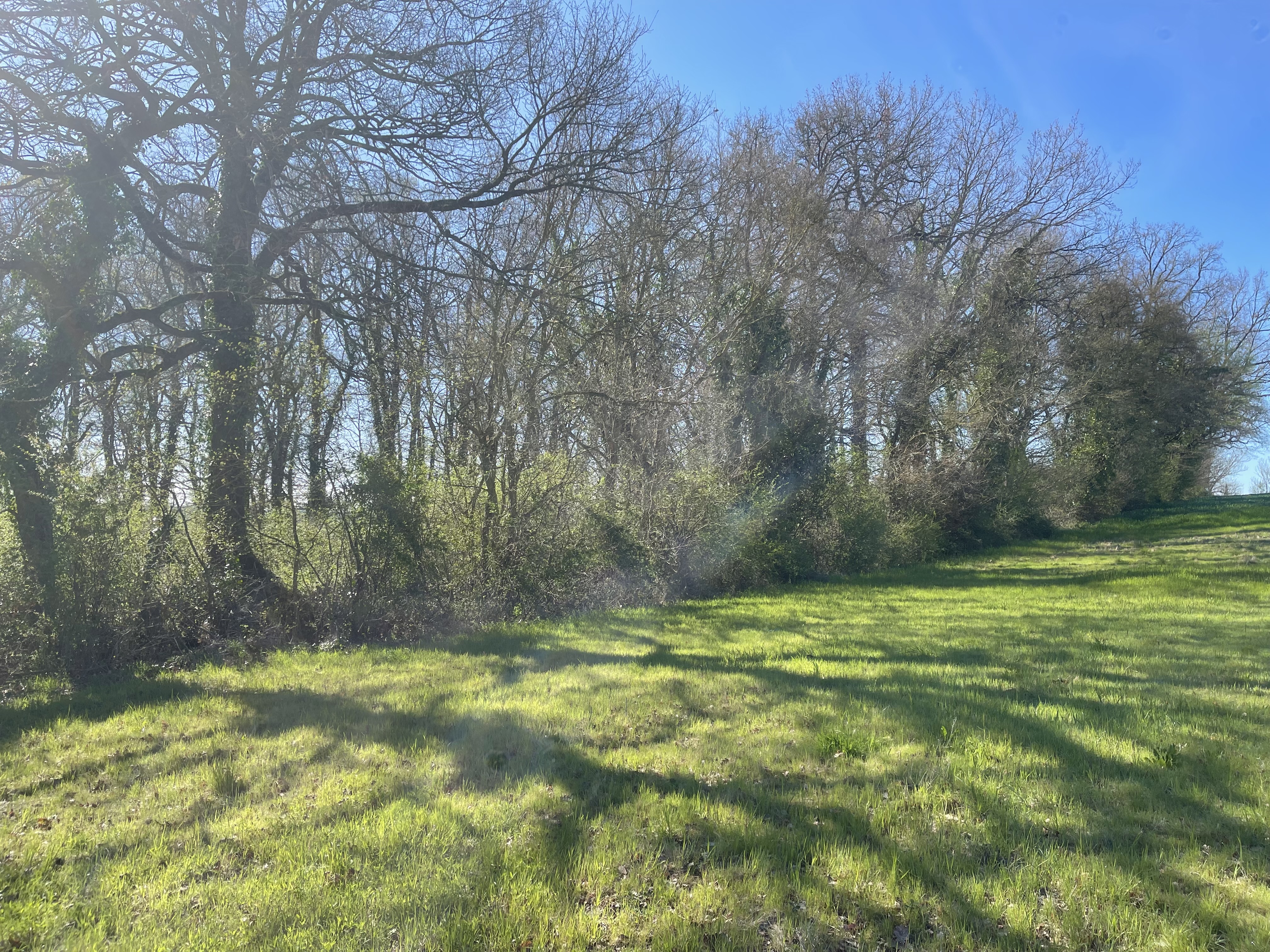 Bois de Marie Pierre 