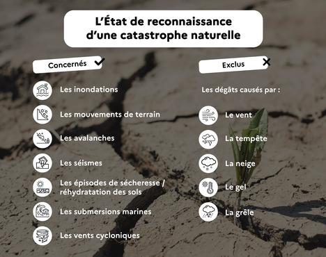 infographie-etat-de-catastrophe-naturelle